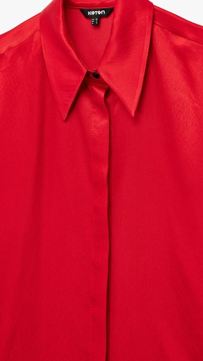 Regular Fit Uzun Kollu Klasik Yaka Saten Gömlek